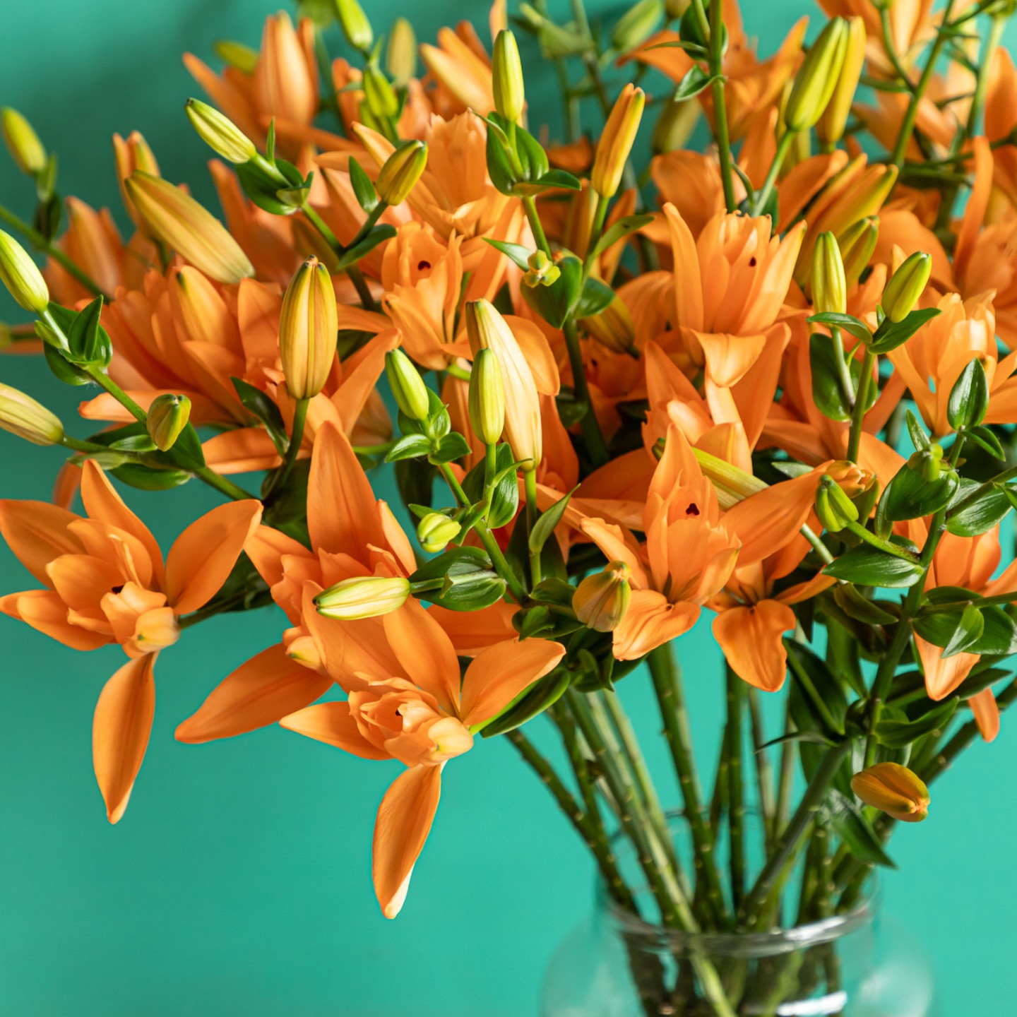 Fleura Flower Gallery